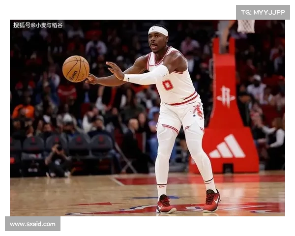 火箭险胜鹈鹕霍勒迪最后1.8秒绝杀封神全场焦点尽在一投